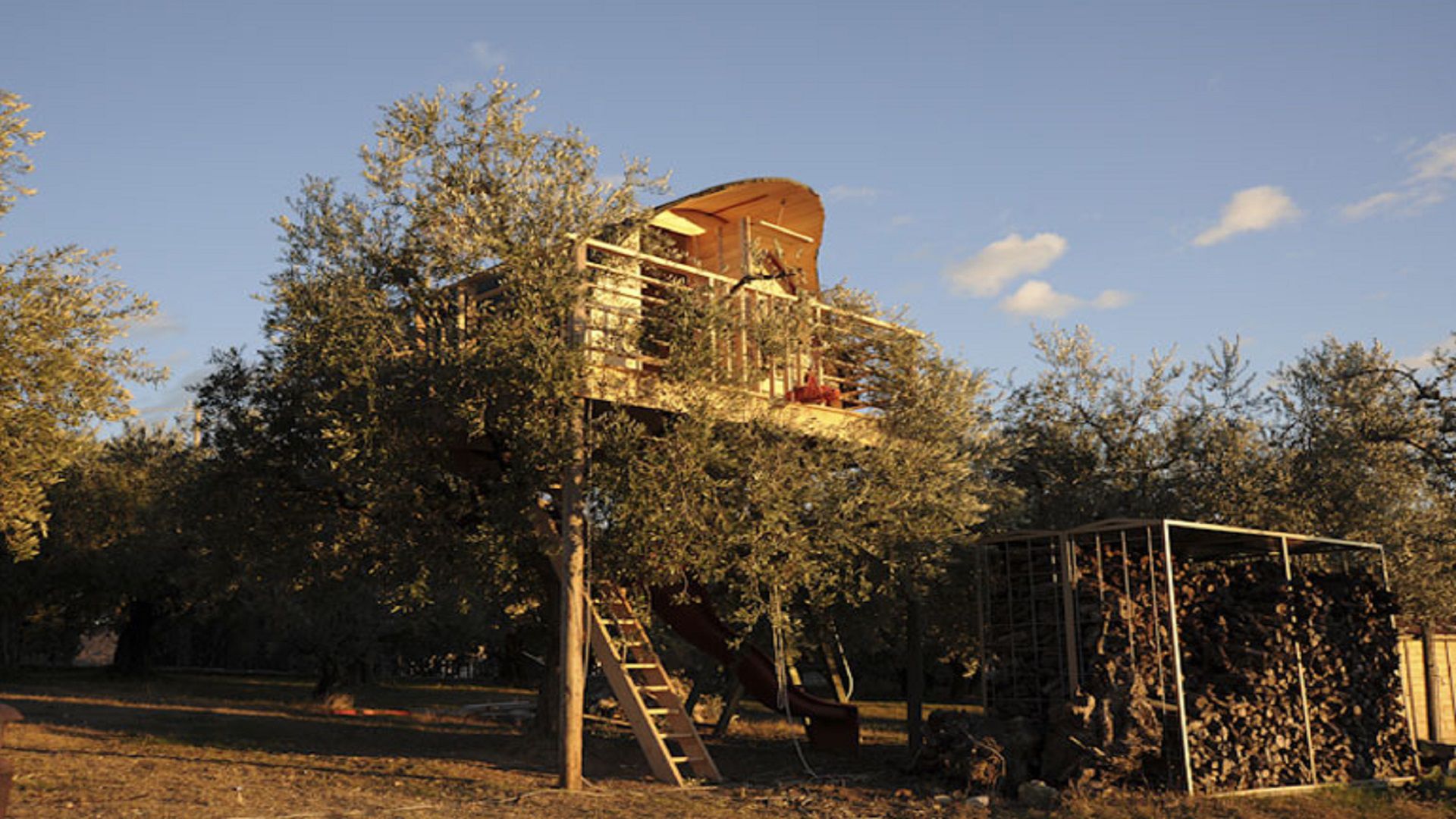 casa nell'oliveto