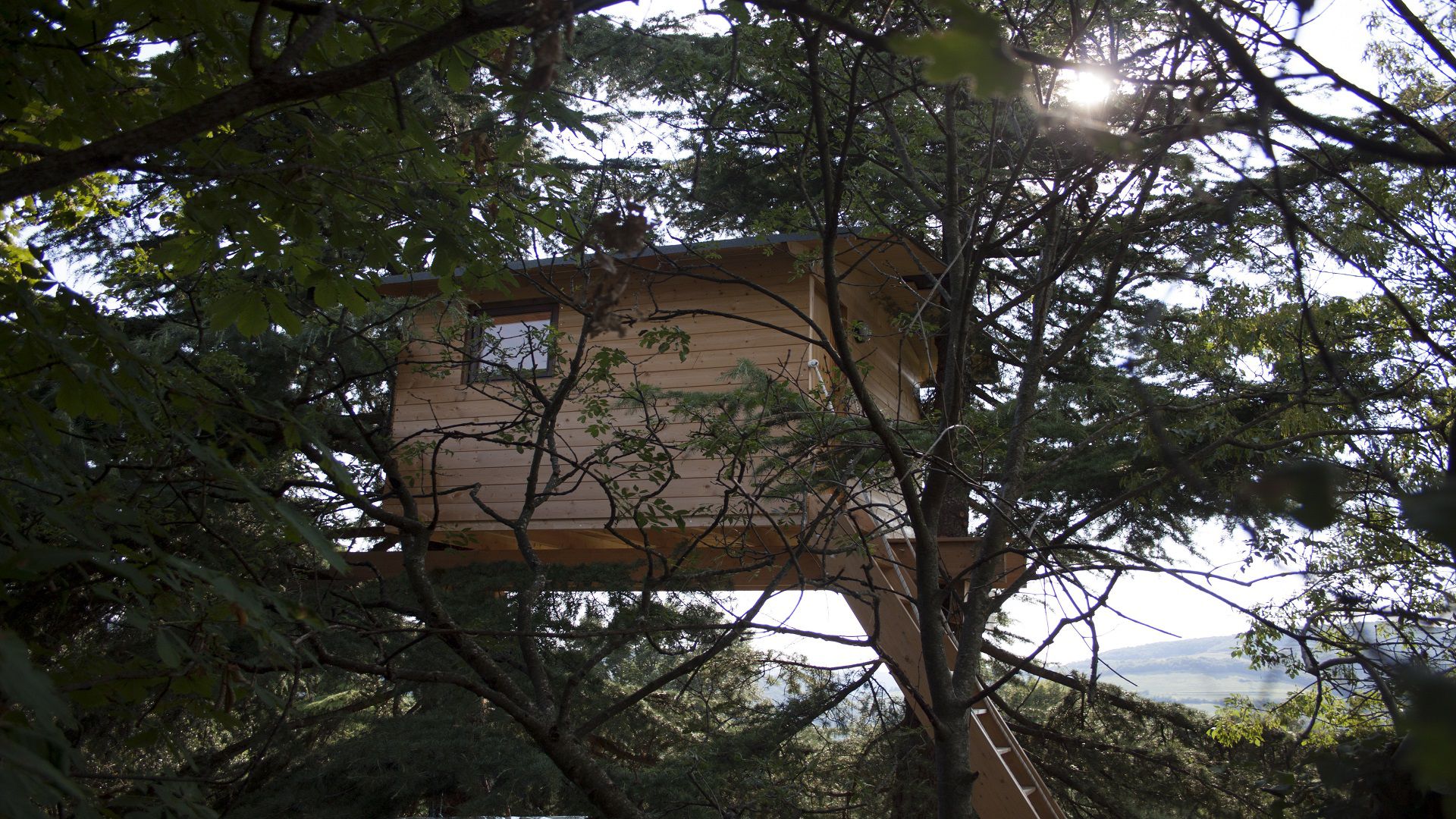 casa sull'albero a trezzolano