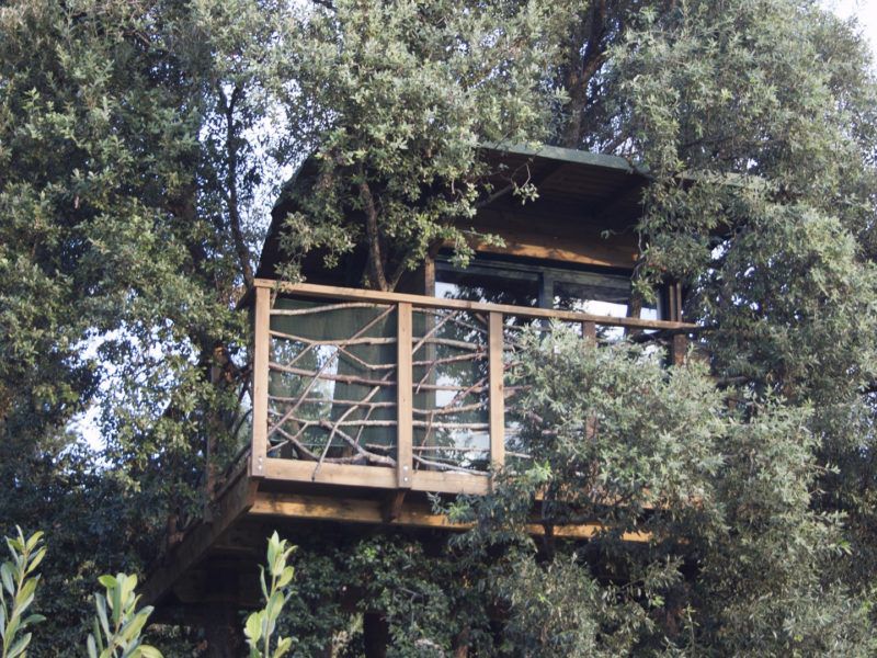 casa sull'albero in giardino