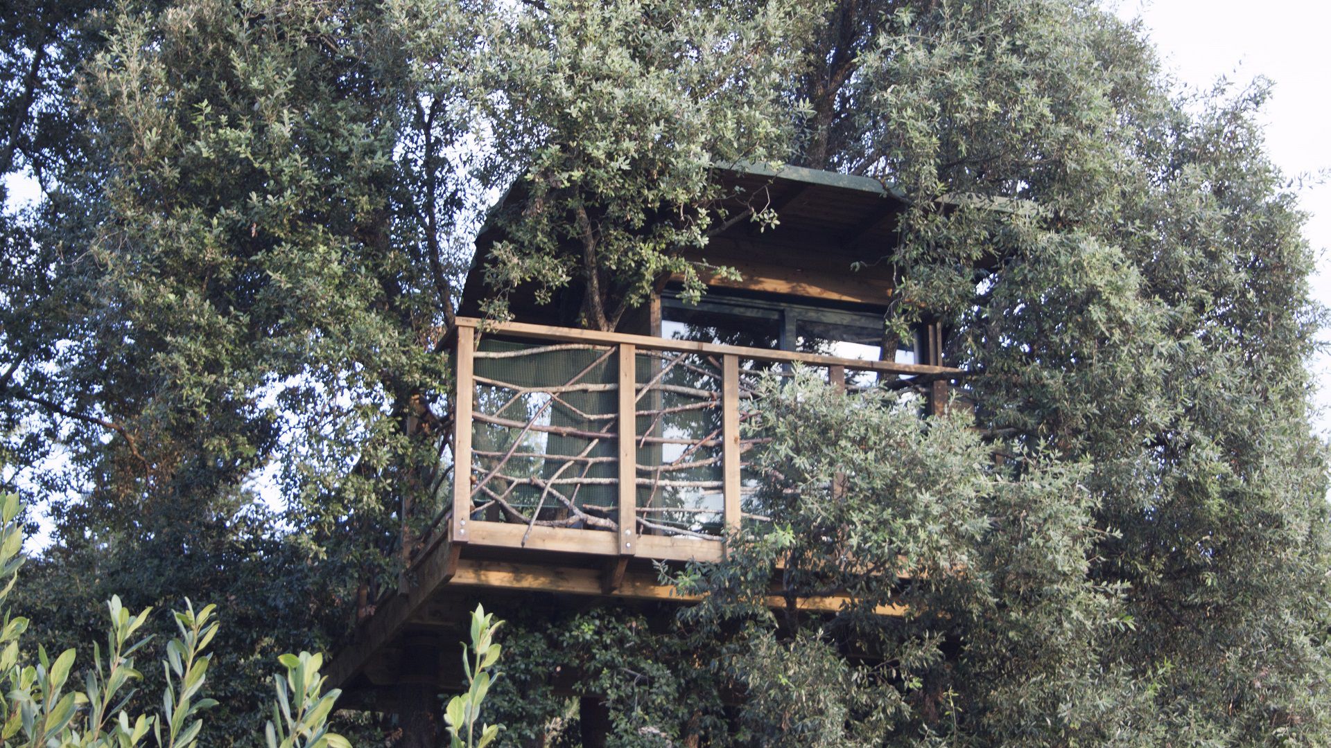 casa sull'albero in giardino