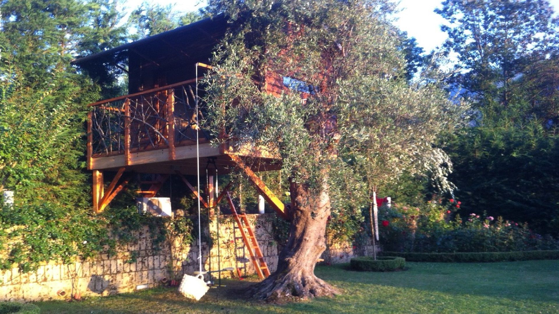 casa sull'ulivo